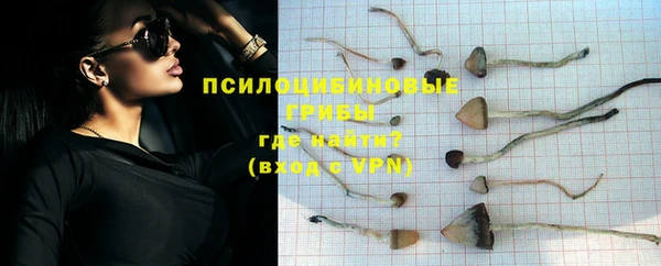 ПСИЛОЦИБИНОВЫЕ ГРИБЫ Богородицк