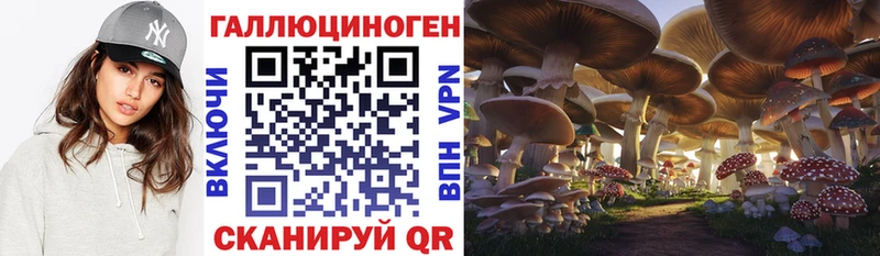 Галлюциногенные грибы Psilocybine cubensis  Горнозаводск 